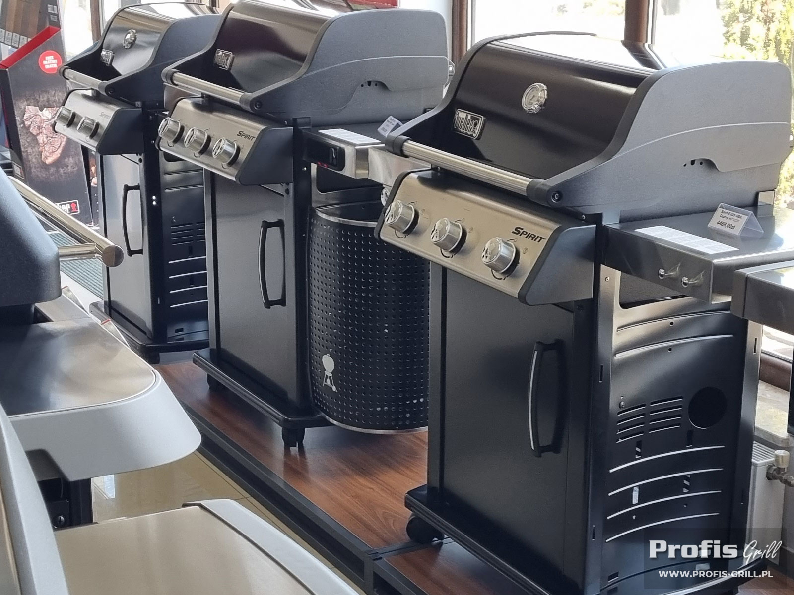 Grille Weber Salon Profis 1